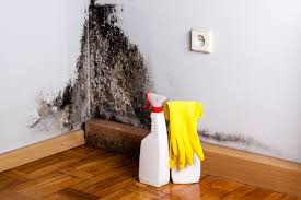 Best Asbestos and Lead Testing During Mold Inspection in USA